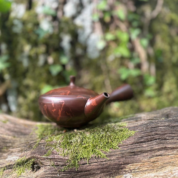 200ml Brown Clay Benishibori Hira-Kyusu [Gyokuryū Kiln]