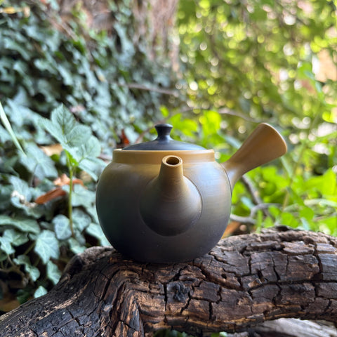 200ml Yellow Black Yōhen Kyusu with sesame filter [Hakusan Kiln]