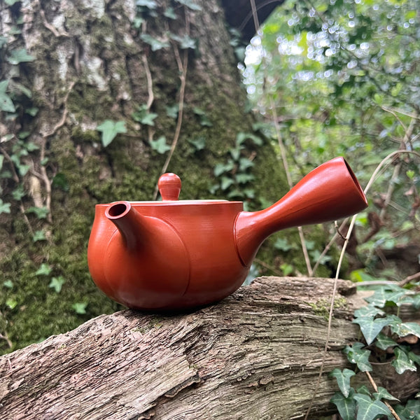 Everyday range : 360ml Red Tokoname Kyusu Teapot with white striped lid Belt Strainer [Tomisen Kiln]