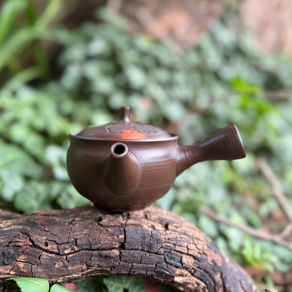 280ml yōhen (窯変) brown clay kyusu with etched lines, plum blossom (梅) engraving and sesame filter [Gyokuryu Kiln]