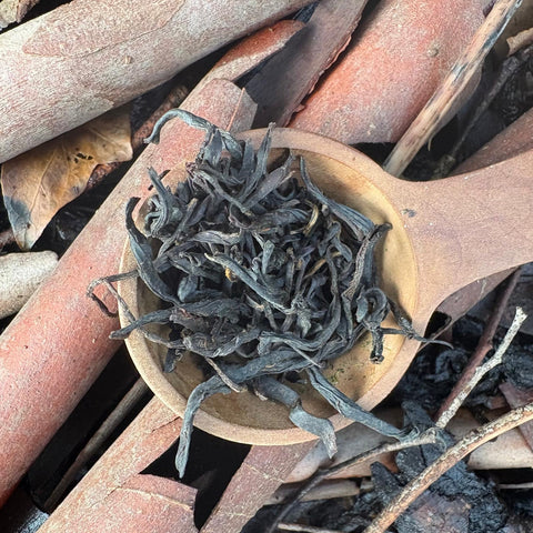 Harashima Family 2025 Yame Benifuki Black