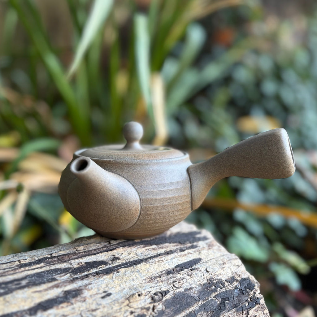 330ml Ikomi [鋳込み] Yakijime Kyusu with Stainless Strainer [Morimasa Kiln]