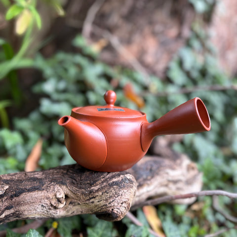 Everyday range : 340ml Round Red Shudei Ikomi [鋳込み] Tokoname Kyusu Teapot with belt Strainer [Tomisen Kiln]