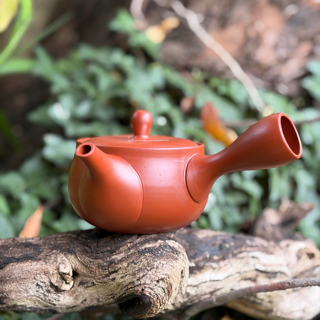 Everyday range : 360ml Taller Red Shudei Ikomi [鋳込み] Tokoname Kyusu Teapot with belt Strainer [Tomisen Kiln]