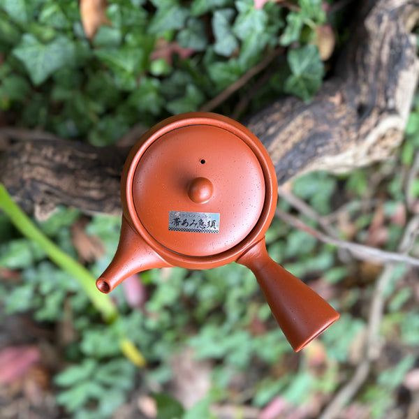 Everyday range : 340ml Round Red Shudei Ikomi [鋳込み] Tokoname Kyusu Teapot with belt Strainer [Tomisen Kiln]