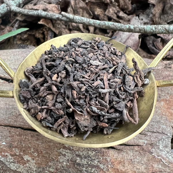 2023 Malawian Dark Tea