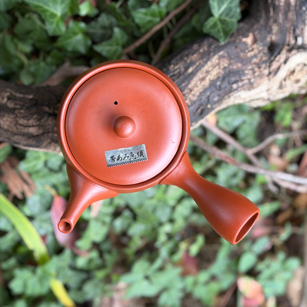 Everyday range : 360ml Taller Red Shudei Ikomi [鋳込み] Tokoname Kyusu Teapot with belt Strainer [Tomisen Kiln]