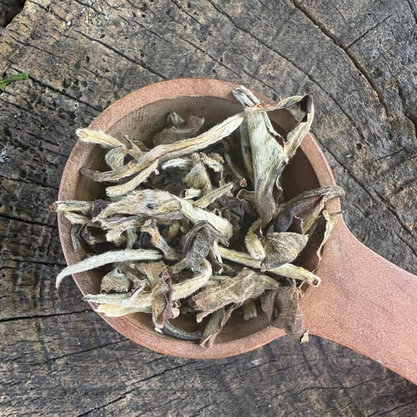 Mr Xu's Yunnan White