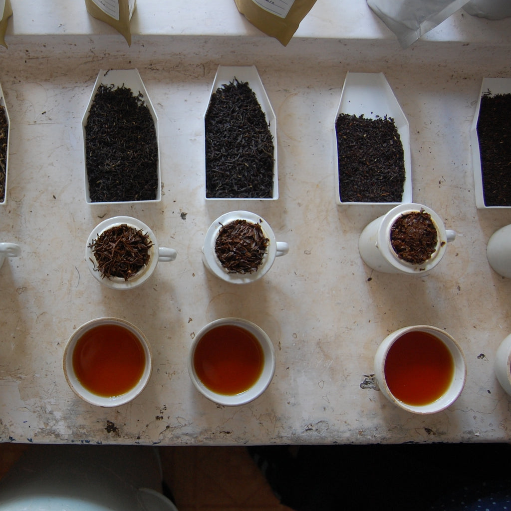 SPRING TEA SCHOOL : EXPLORE BLACK TEA [IN PERSON IN THE BATH TEA HOUSE TEA SCHOOL]