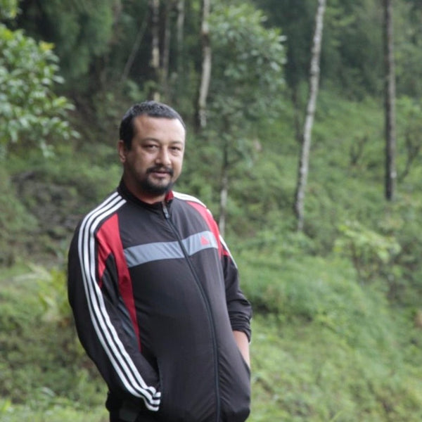 Wholesale: Uplifting Darjeeling