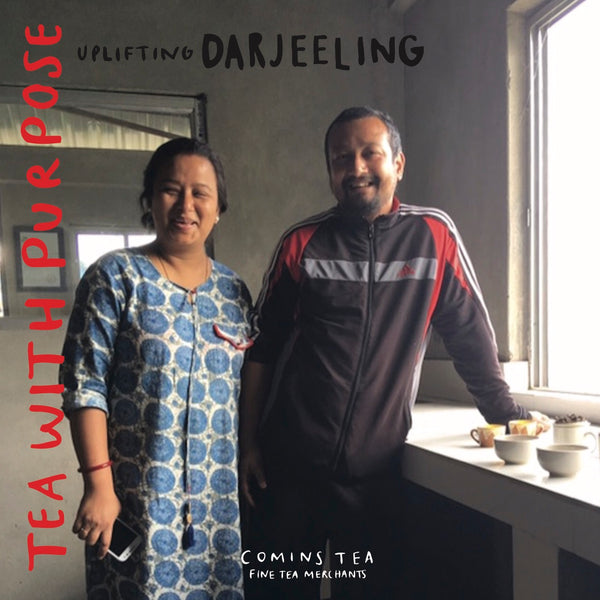 Wholesale: Uplifting Darjeeling