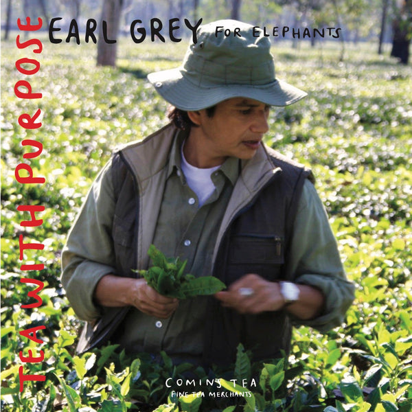 Wholesale: Earl Grey for Elephants
