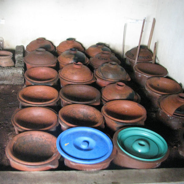 High Grown Ceylon [OP] Tea