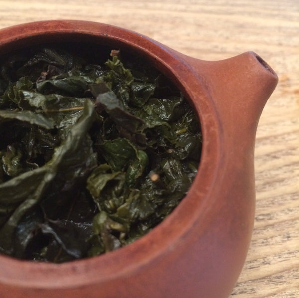 Jin Xuan (lightly oxidised) Oolong Tea