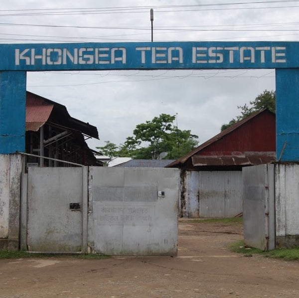 Khongea Golden Tip Assam Tea
