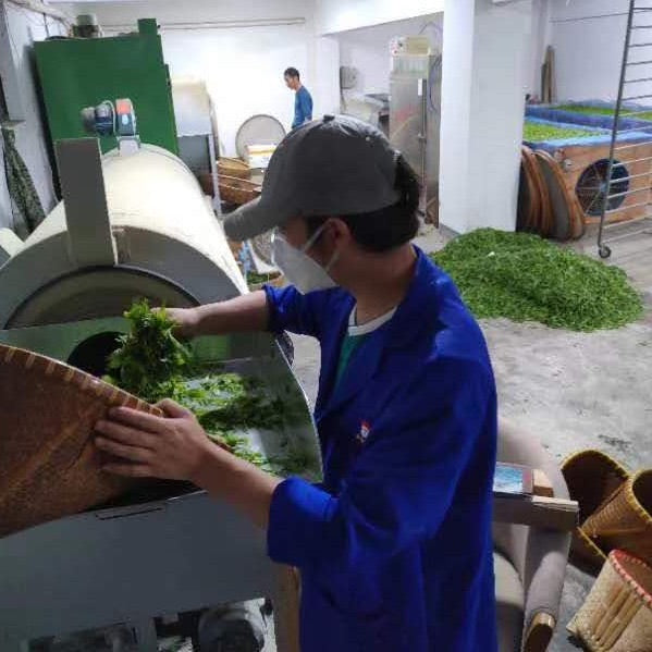 2023 Tian Mu QingDing Tea [ShanLi Renjia Farm]
