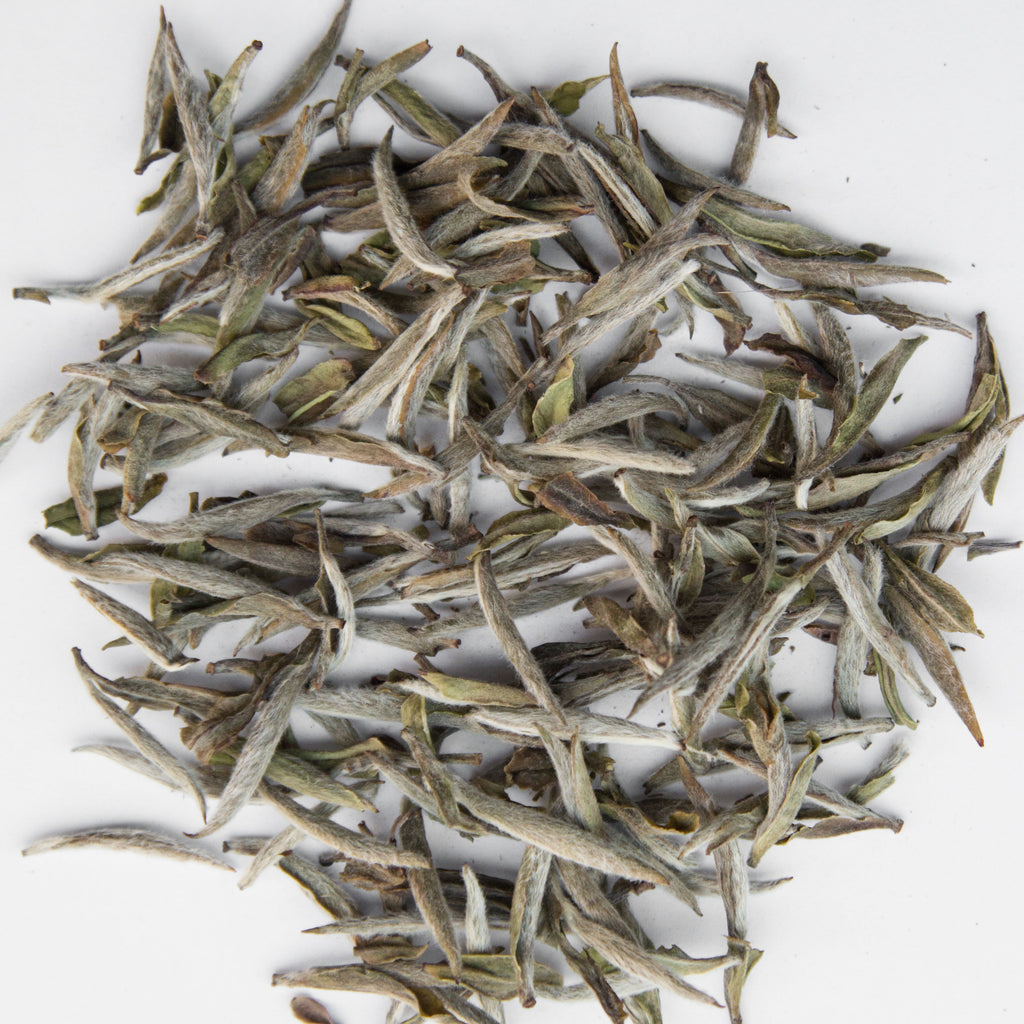 SPRING TEA SCHOOL : EXPLORE WHITE TEA [IN PERSON IN THE BATH TEA HOUSE TEA SCHOOL]