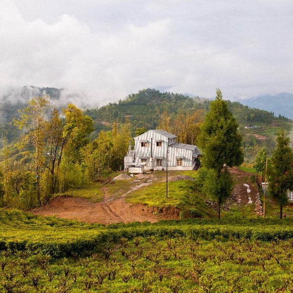 Wholesale: A Strong & Empowered Nepali Breakfast