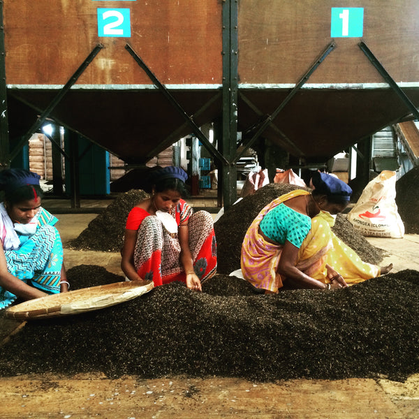 Khongea Golden Tip Assam Tea