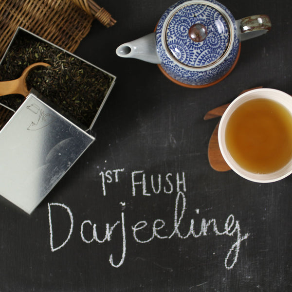 First Flush Darjeeling Tea - Comins Tea - 4