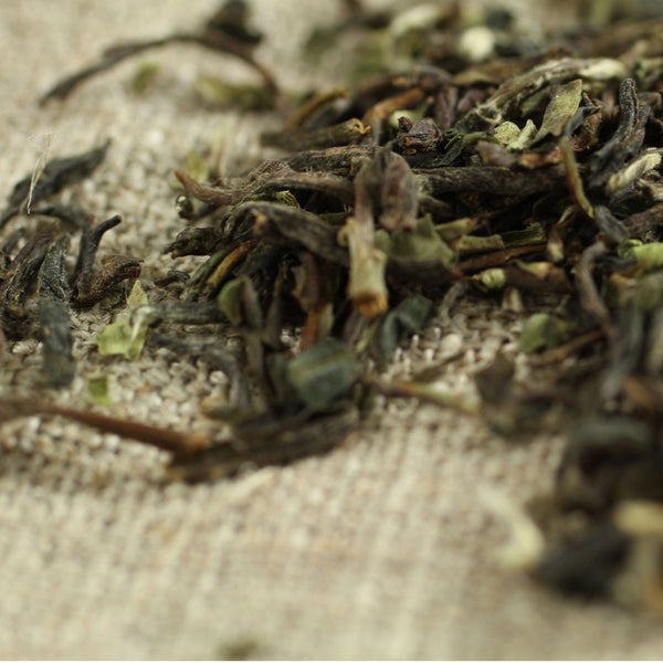 First Flush Darjeeling Tea - Comins Tea - 1