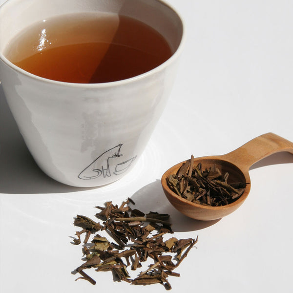 Houjicha Tea - Comins Tea - 1