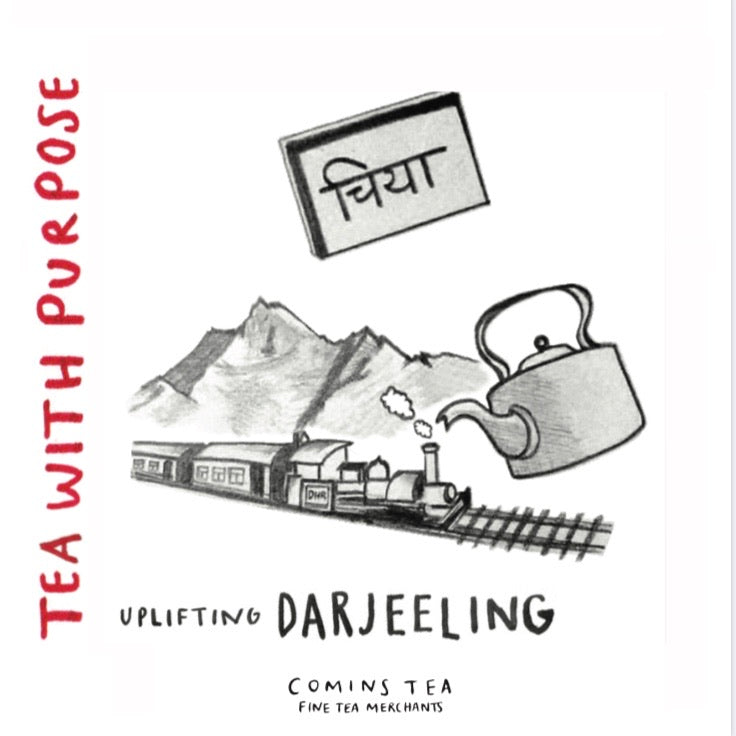 Wholesale: Uplifting Darjeeling