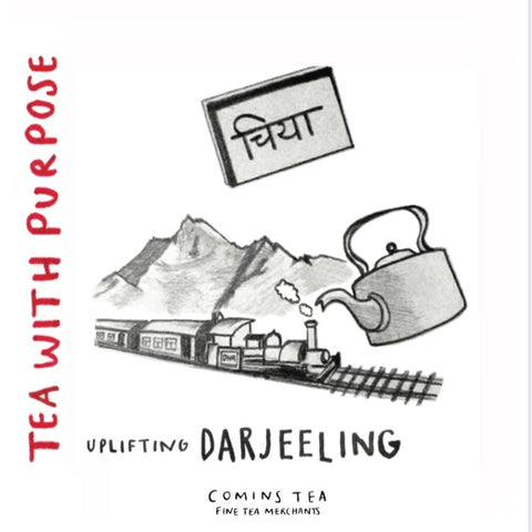 Wholesale: Uplifting Darjeeling