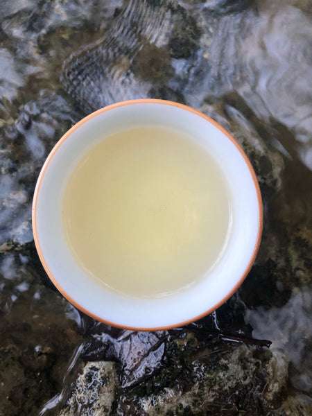High Mountain Gui Fei : Qing Xin Oolong Tea