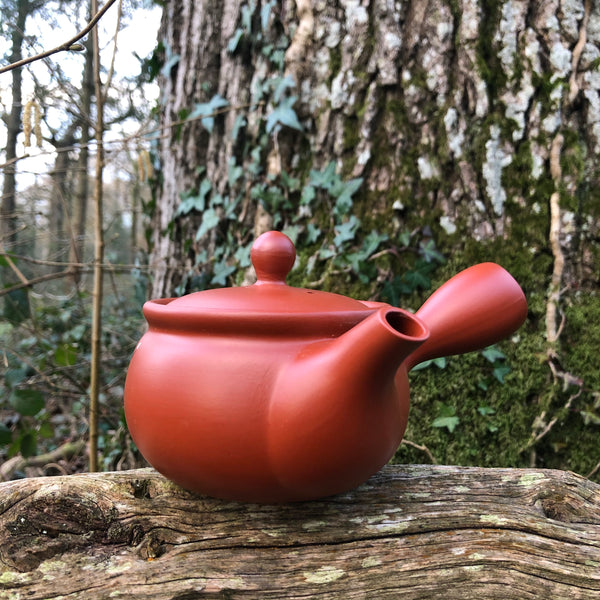 360ml Red with flowers Tokoname Kyusu Teapot [Flatter] with stainless steel mesh strainer [Mamiya Pottery]