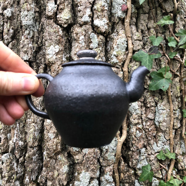 130 ml black teapot [Seong Il Hong : Boseong, South Korea ]