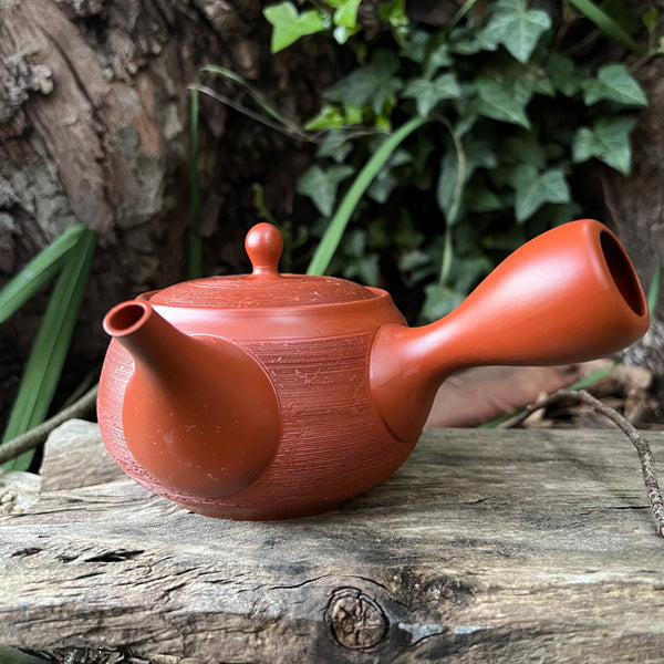 300ml Red with white flower strip Tokoname Kyusu with mesh belt strainer [Shunju Kiln]