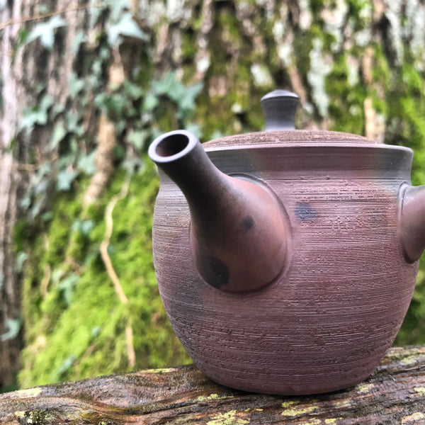 140ml Brown/Rust Textured Tokoname Kyusu Teapot with Ceramic Strainer [Gyokko Kiln]