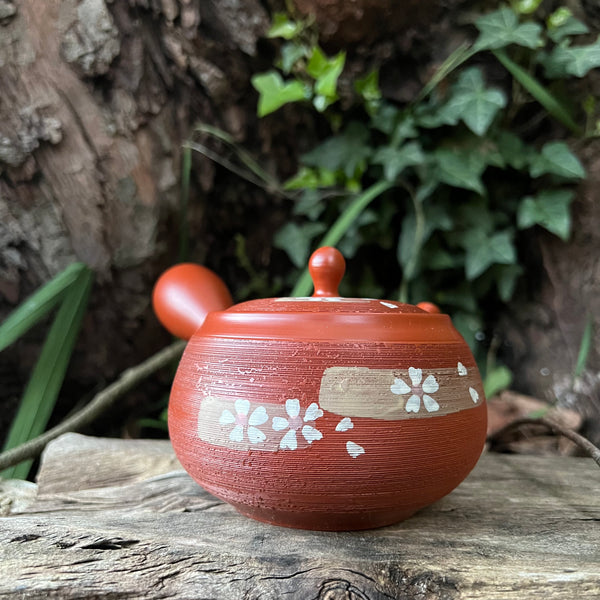 300ml Red with white flower strip Tokoname Kyusu with mesh belt strainer [Shunju Kiln]