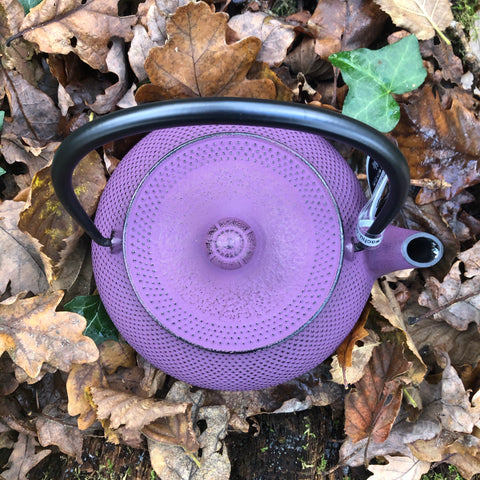 Japanese Cast Iron Teapot Purple   [IWACHU] 0.55L