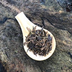 Mr Irie's Houjicha [Yabukita, Kanaya Midori]