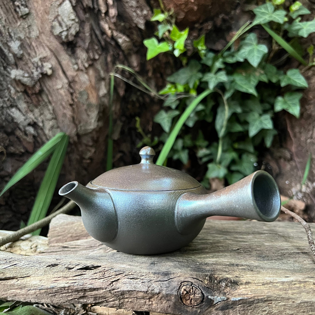 Silver Dome 160ml Kyusu Teapot (flat ceramic strainer)