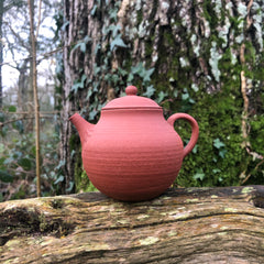 ‘Xing Xiang Clay Pot' : Xing Xiang [Yu Xinrong] Jingdezhen