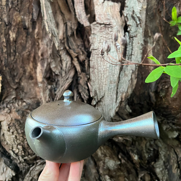 Silver Dome 160ml Kyusu Teapot with flat ceramic strainer [Tomohiro Kiln]
