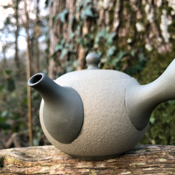 200ml Green Patterned Tokoname Kyusu Teapot with Ceramic Strainer [Shunju Kiln]