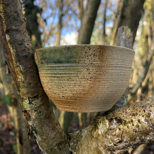 Yellow brown textured Tokoname Teacup [D 5cm W 8cm]