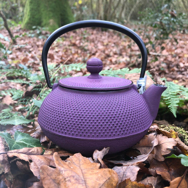 Japanese Cast Iron Teapot Purple   [IWACHU] 0.55L