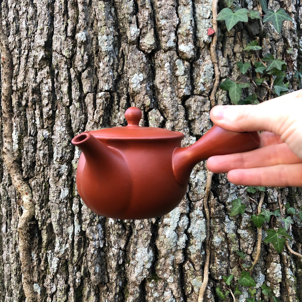 280ml Red Tokoname Kyusu Teapot [taller] with stainless steel mesh strainer [Mamiya Pottery]
