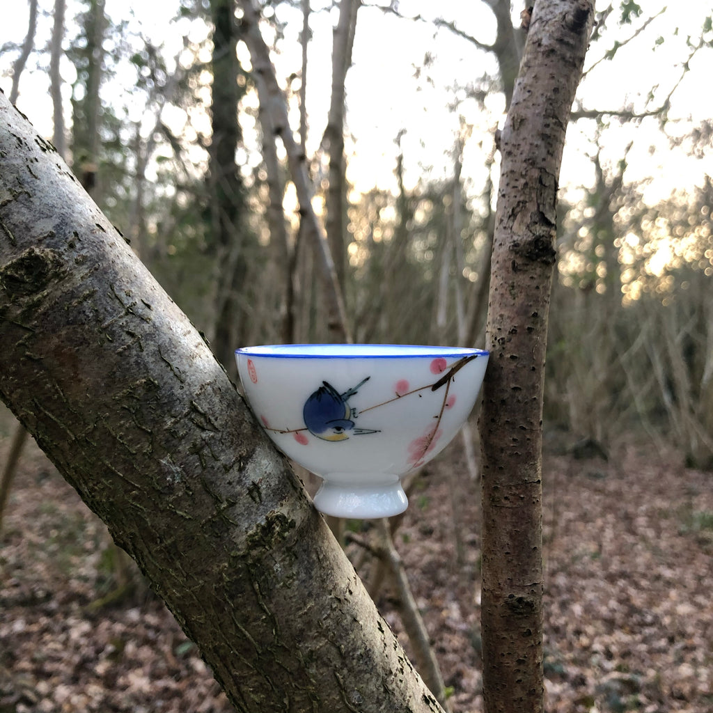 Blue Bird Sipping Cup