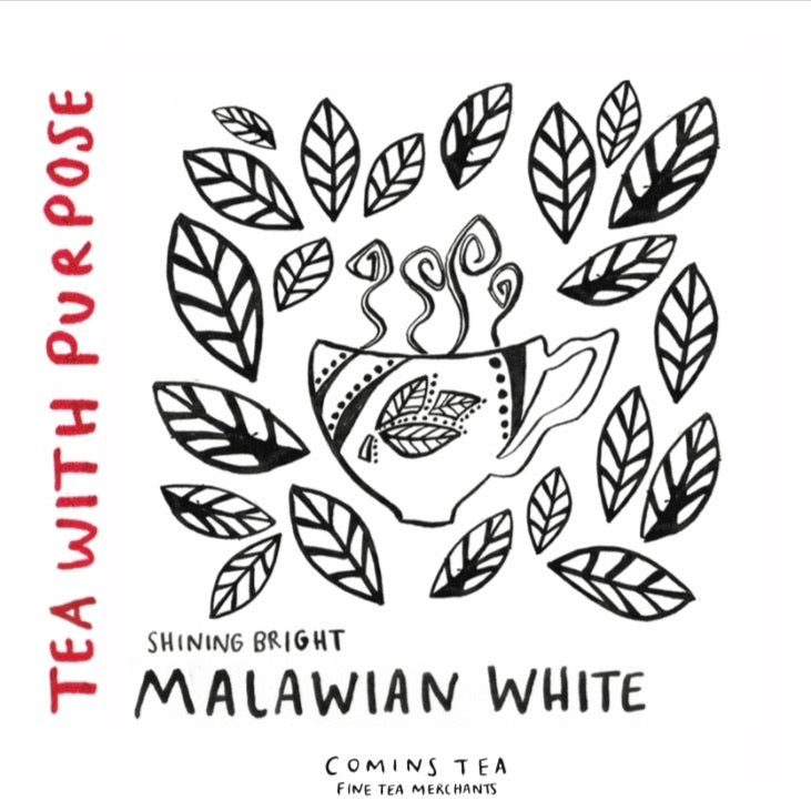 Wholesale : Shining Bright : Malawian White