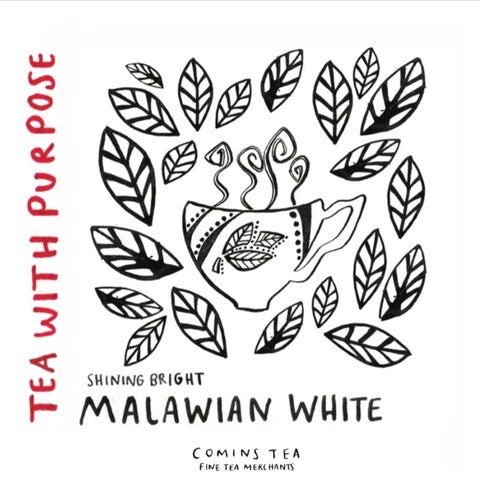Wholesale : Shining Bright : Malawian White