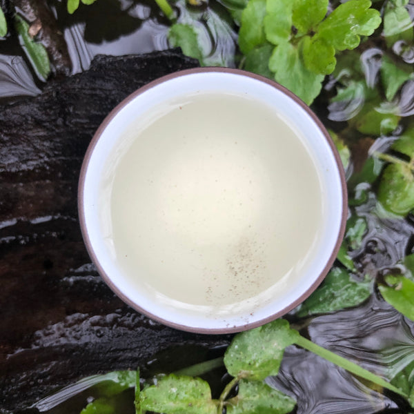 Autumn 2022 Oriental Beauty Oolong Tea [3rd Plum Grade]