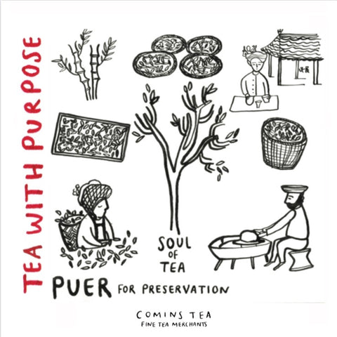 Wholesale: Puer for Preservation