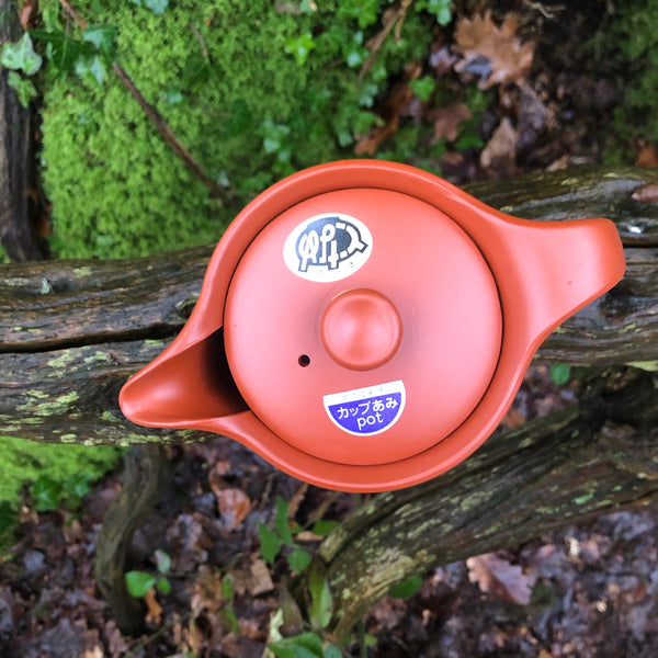 Red Tokoname ‘Teapot’ 300ml [basket shaped strainer]