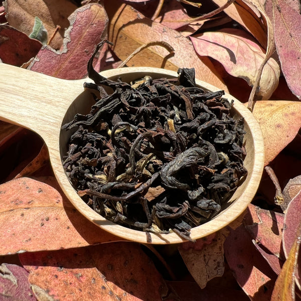 Rajiv’s 2025 Second Flush Muscatel Darjeeling